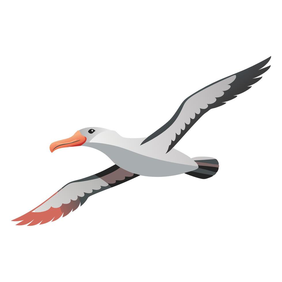 Albatross Animal isolated flat illustration on white background vector
