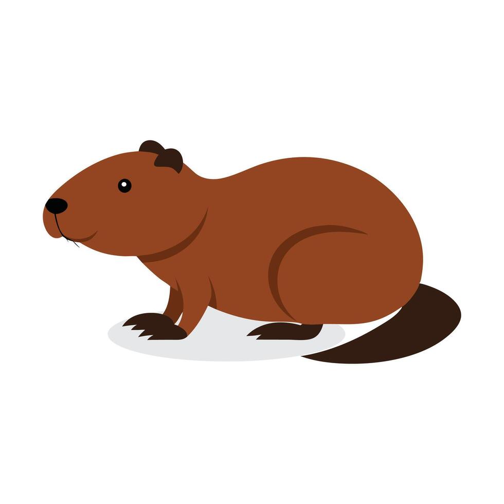 Beaver Animal isolated flat illustration on white background vector