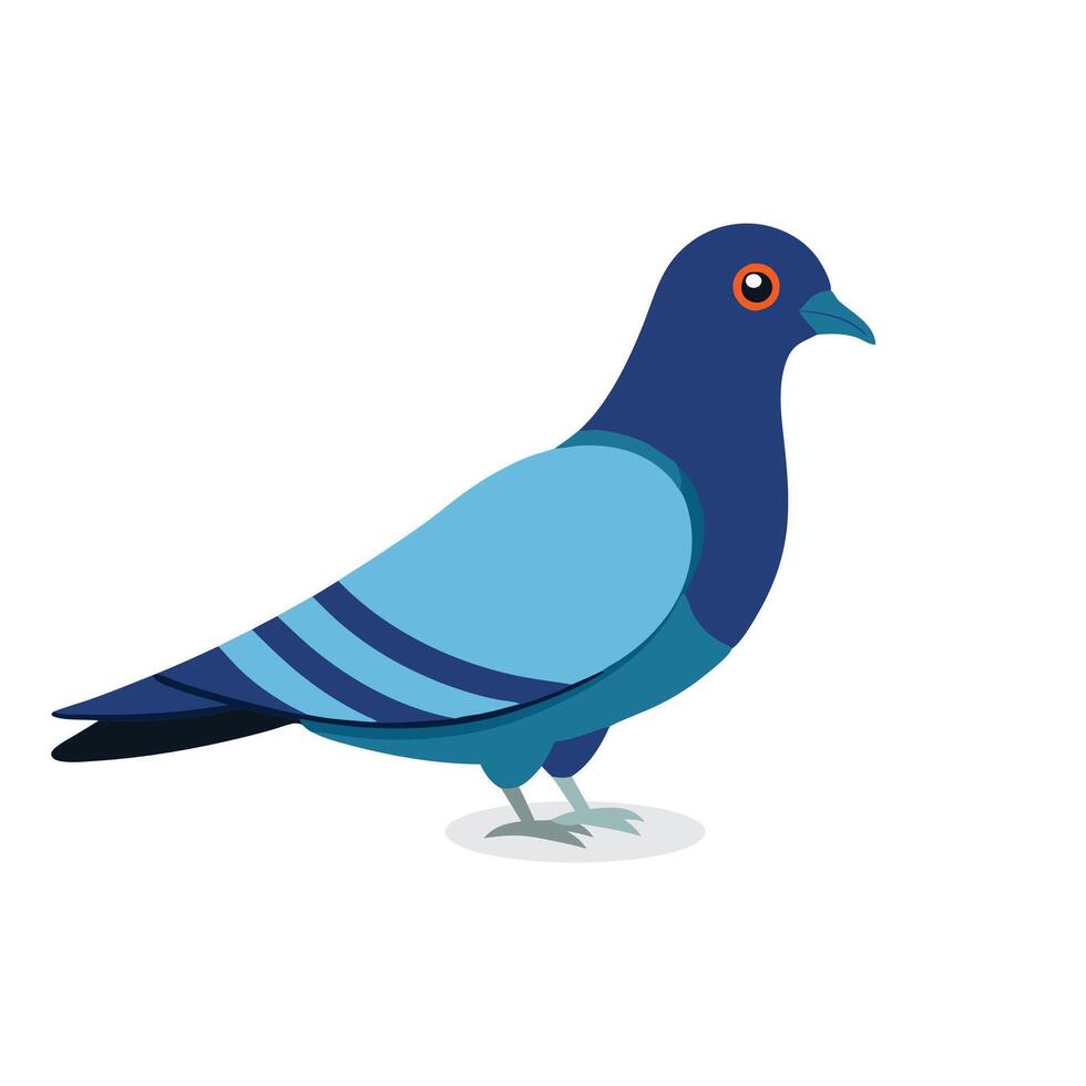 Pigeon Animal isolated flat illustration on white background vector