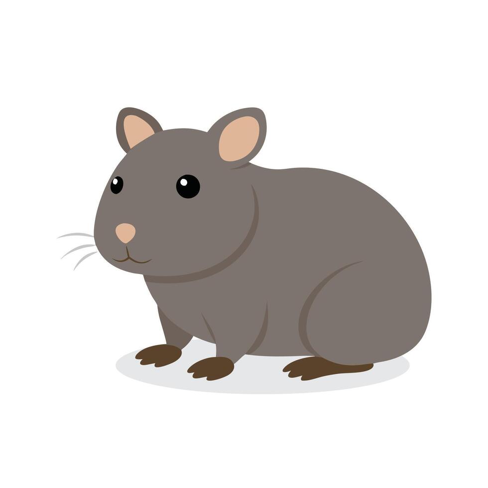 Hamster Animal isolated flat illustration on white background vector