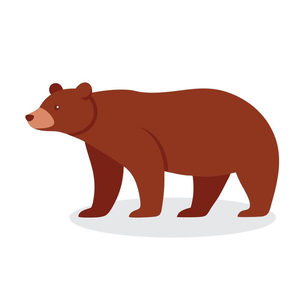 Bear Animal isolated flat illustration on white background vector
