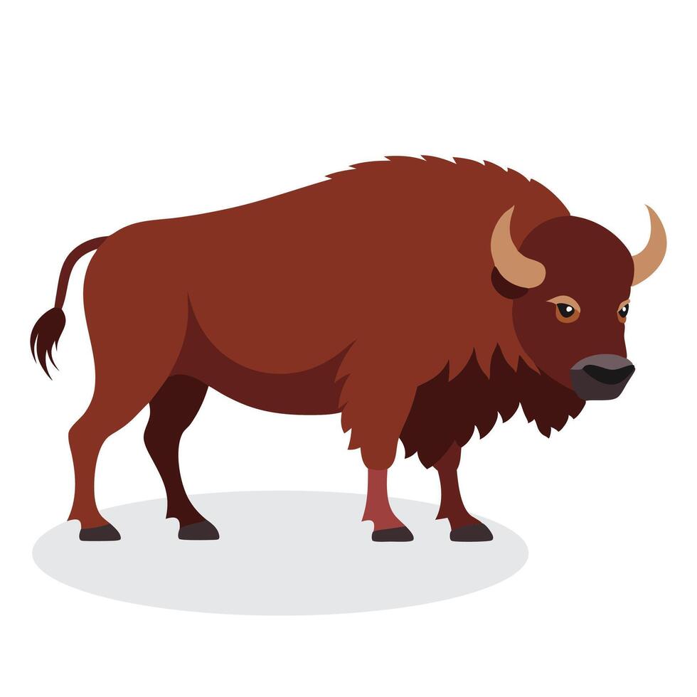 Bison Animal isolated flat illustration on white background vector