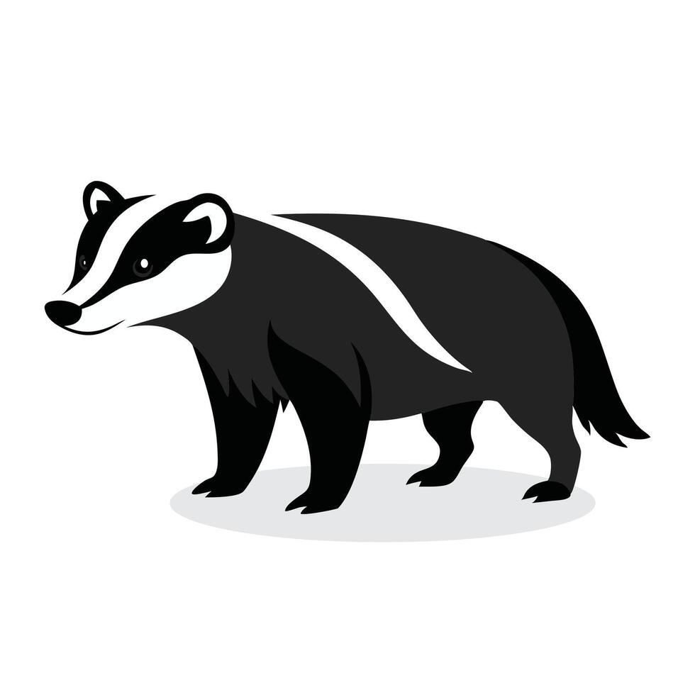 Badger Animal isolated flat illustration on white background. vector