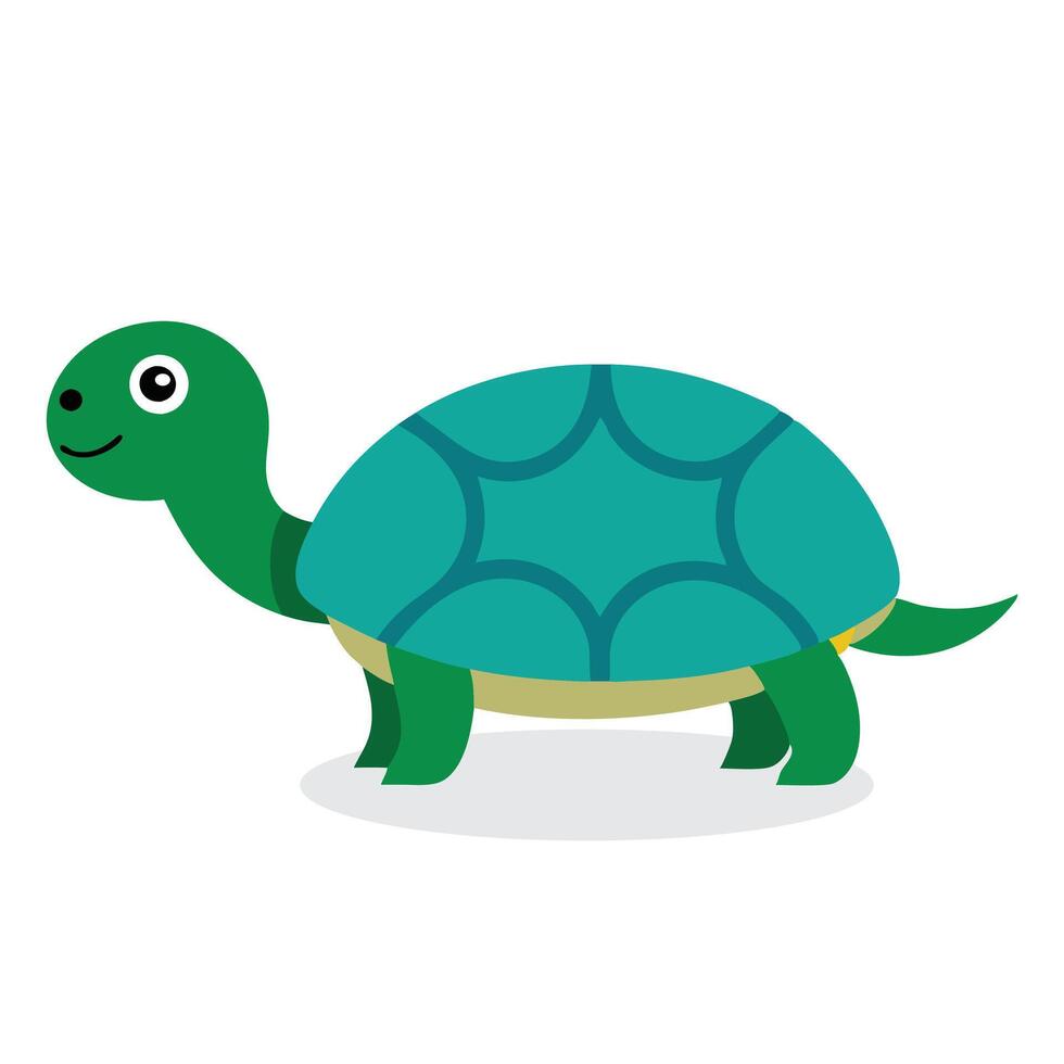Turtle Animal isolated flat illustration on white background. vector