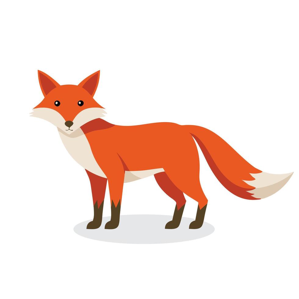 Fox Animal isolated flat illustration on white background. vector