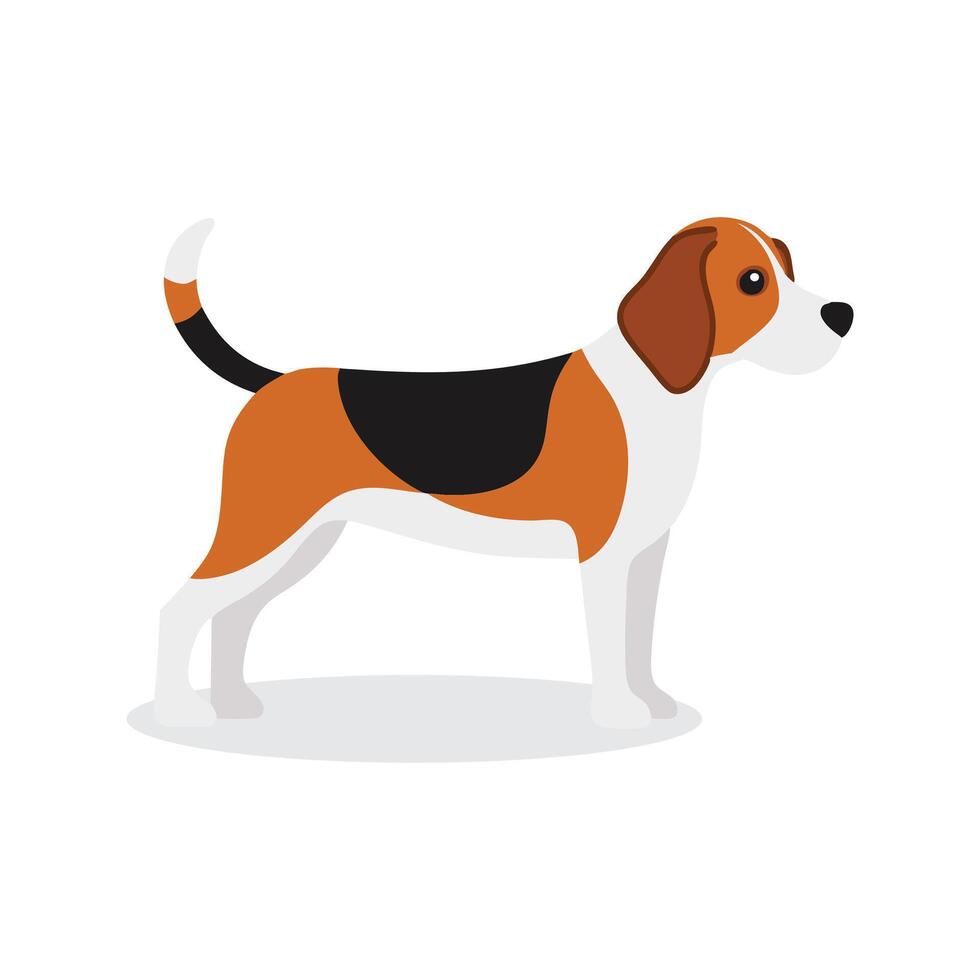 Beagle Animal isolated flat illustration on white background vector