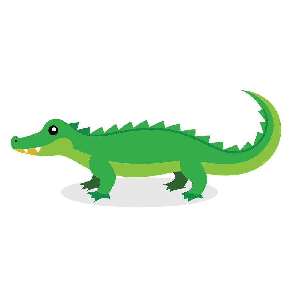 Crocodile Animal isolated flat illustration on white background vector