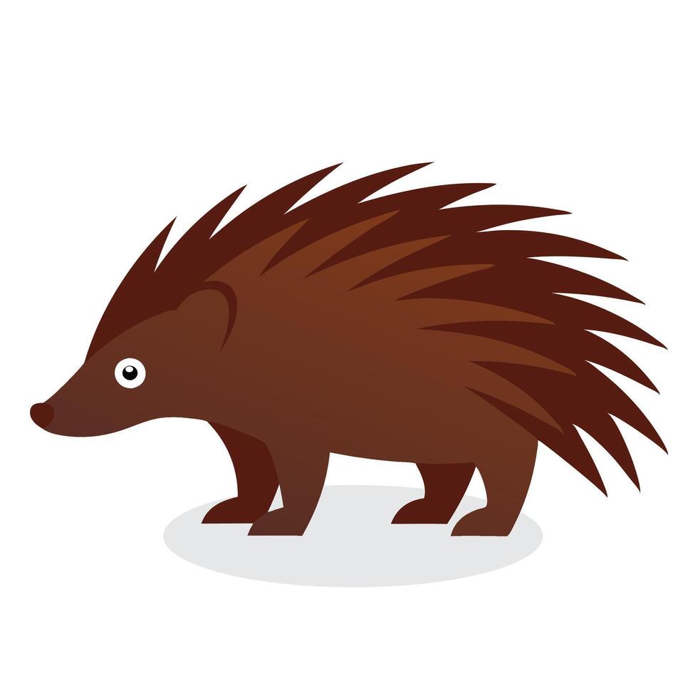 Porcupine Animal isolated flat illustration on white background vector