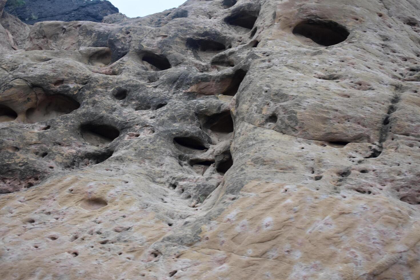 Strange Pitted Rock. Sandstone Wall. Porous Coral Marine Limestone Pattern. photo
