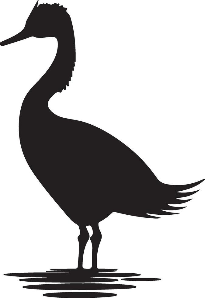 Grebes Bird Silhouette Illustration White Background vector