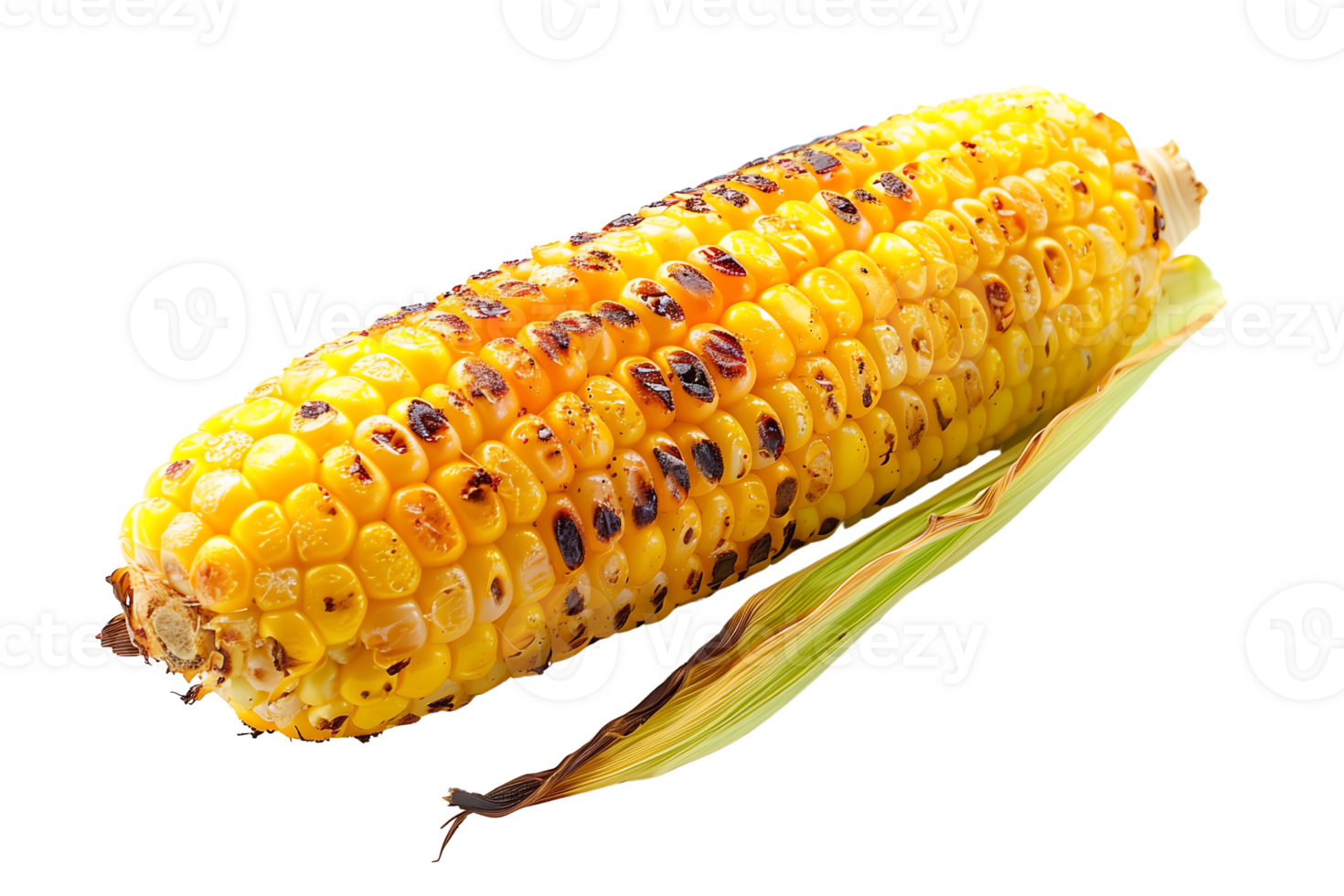 single grilled corn on a transparent background png