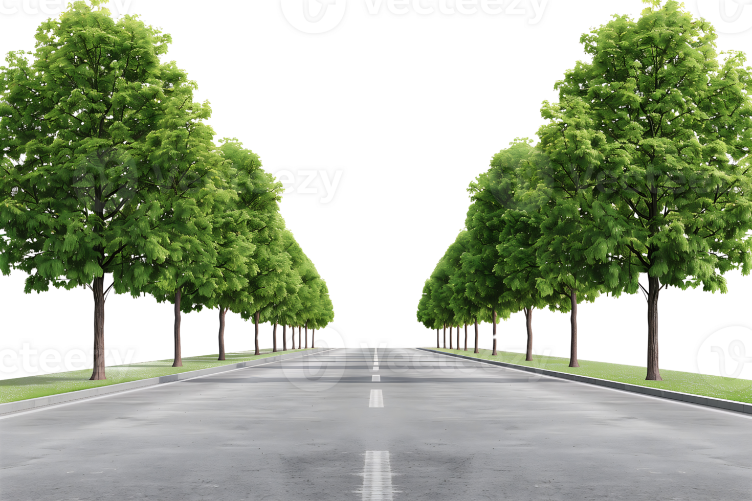 Asphalt road with center line and trees isolated on transparent background png