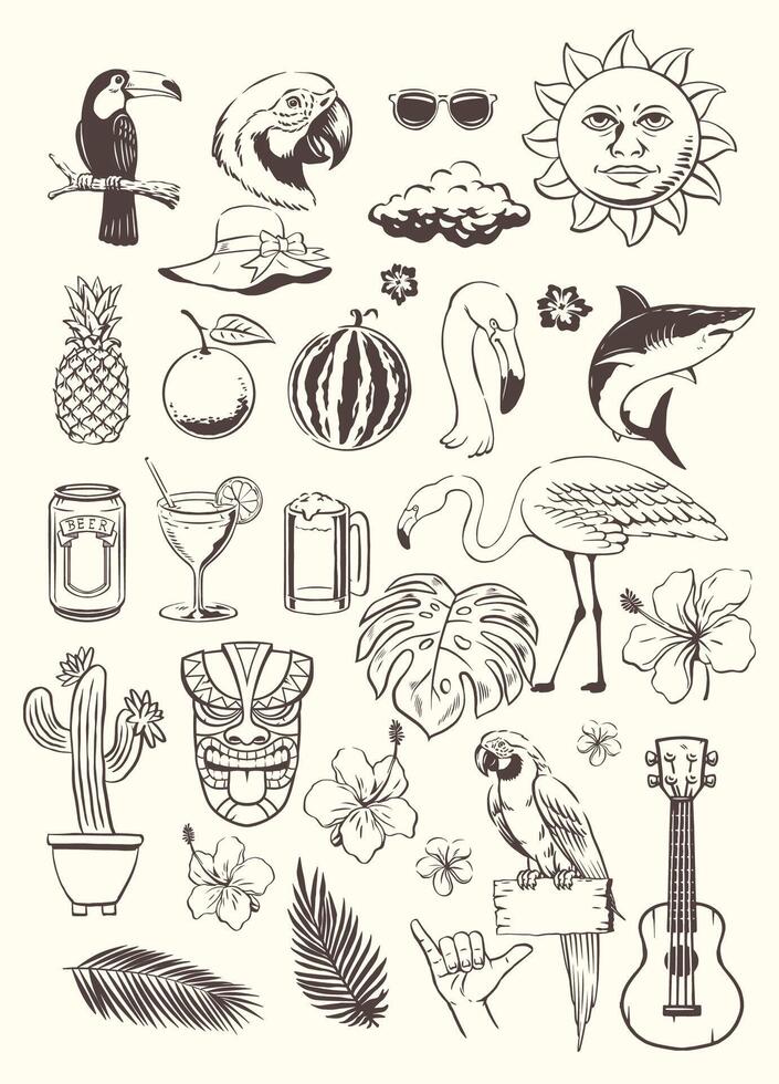 Summer Collection Object Vintage Hand Drawn vector
