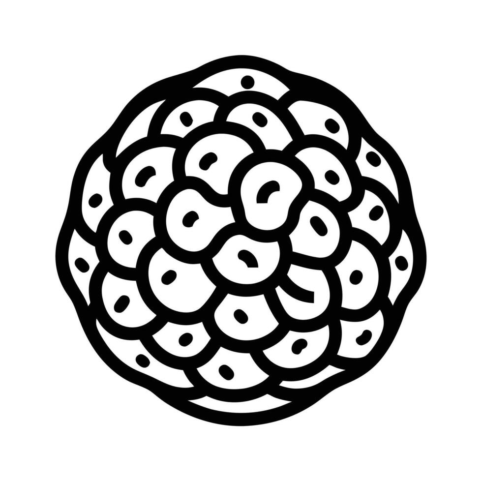 autumn and fall theme, line illustration of truffle vector