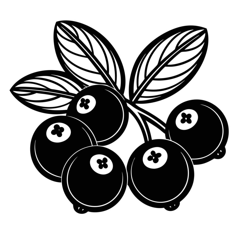 autumn and fall theme, line illustration of berries vector