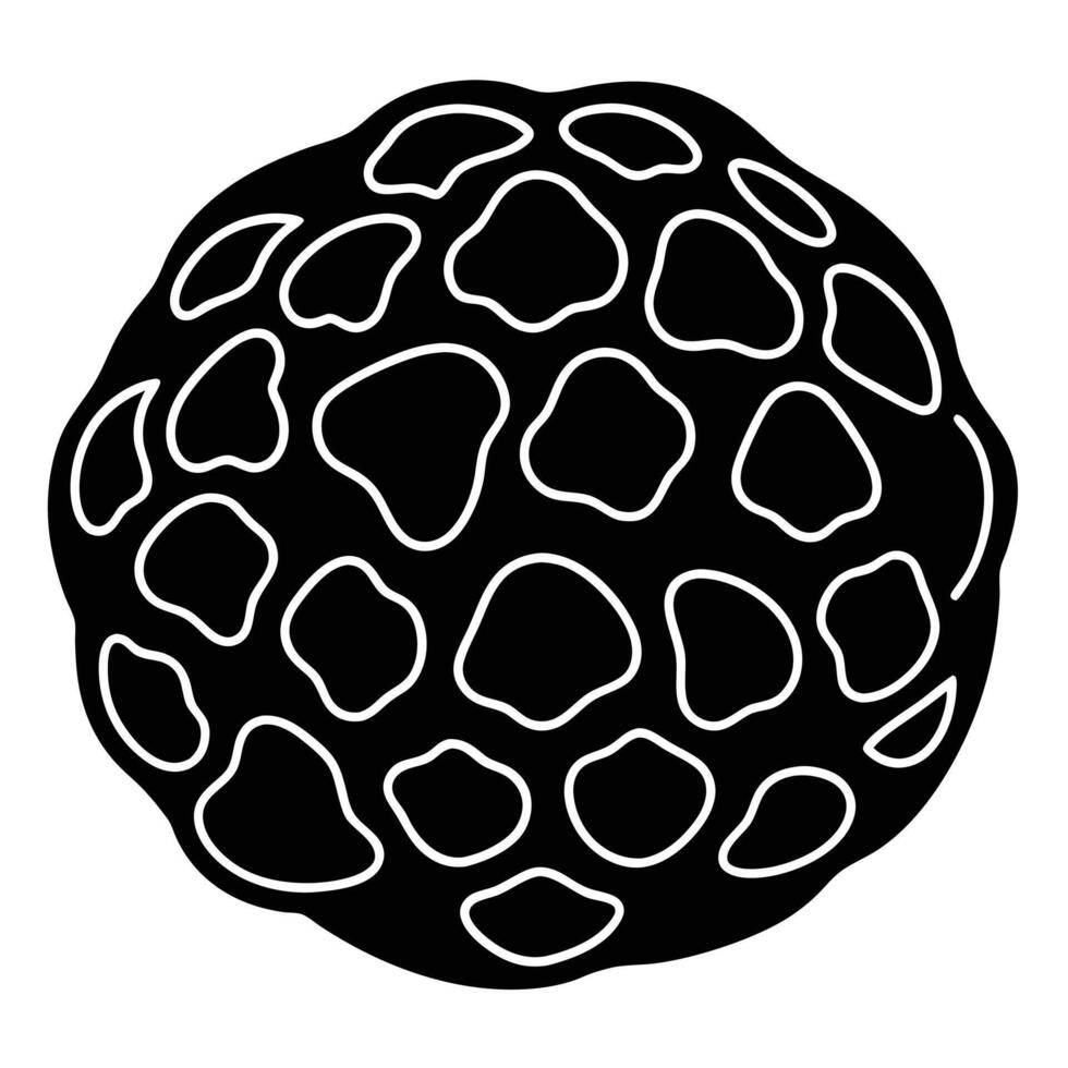 autumn and fall theme, line illustration of truffle vector