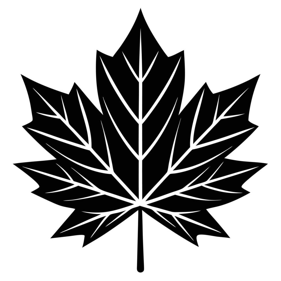 autumn and fall theme, line illustration of autumn leaf vector