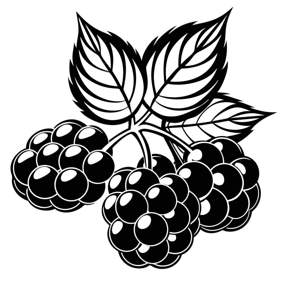 autumn and fall theme, line illustration of berries vector
