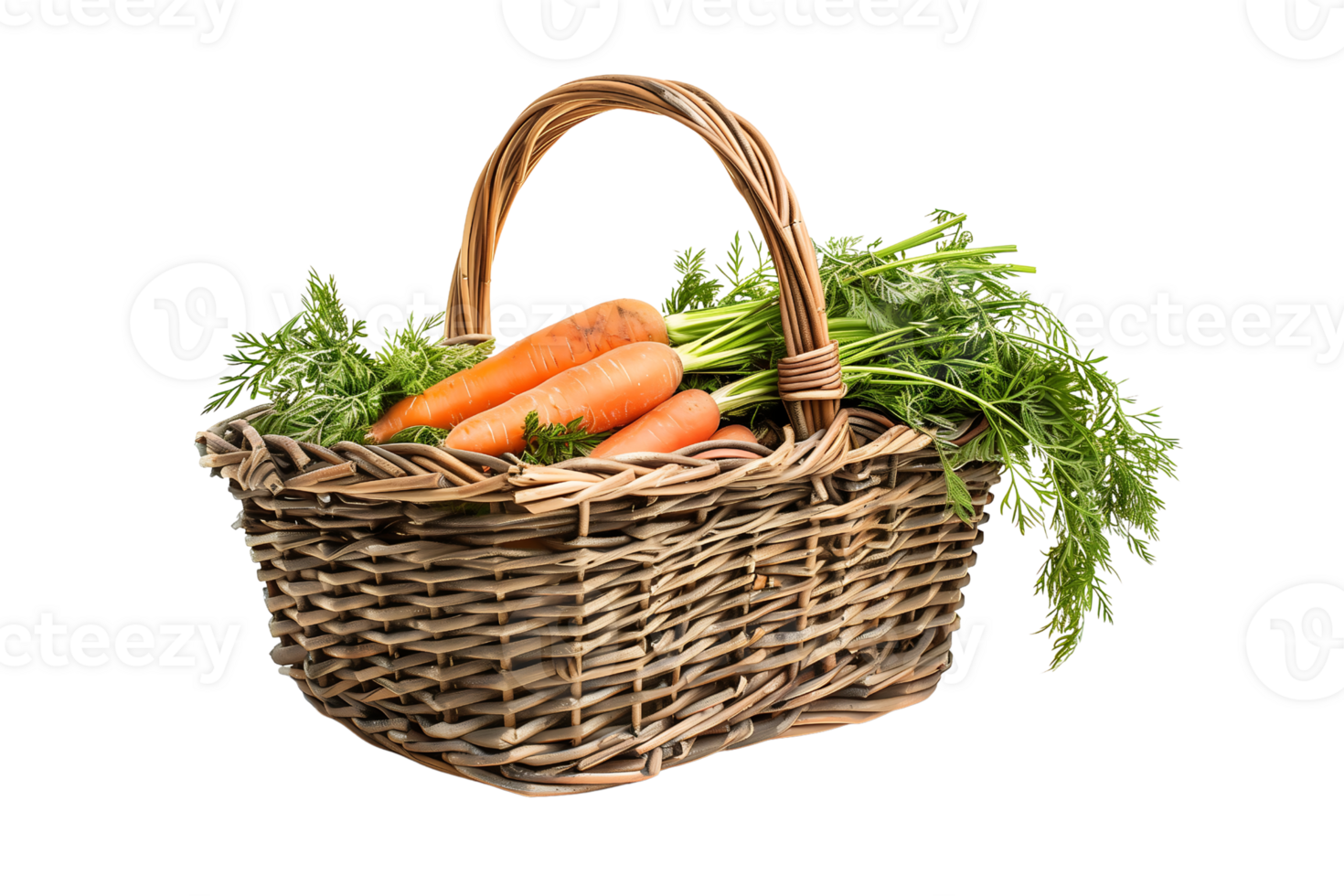 Wicker basket handle with fresh carrot isolated on transparent background png