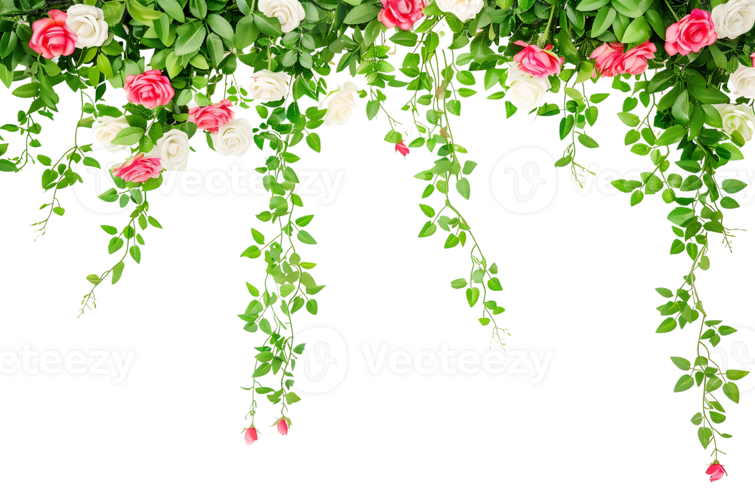 tropical climbing roses border hanging isolated on transparent background png
