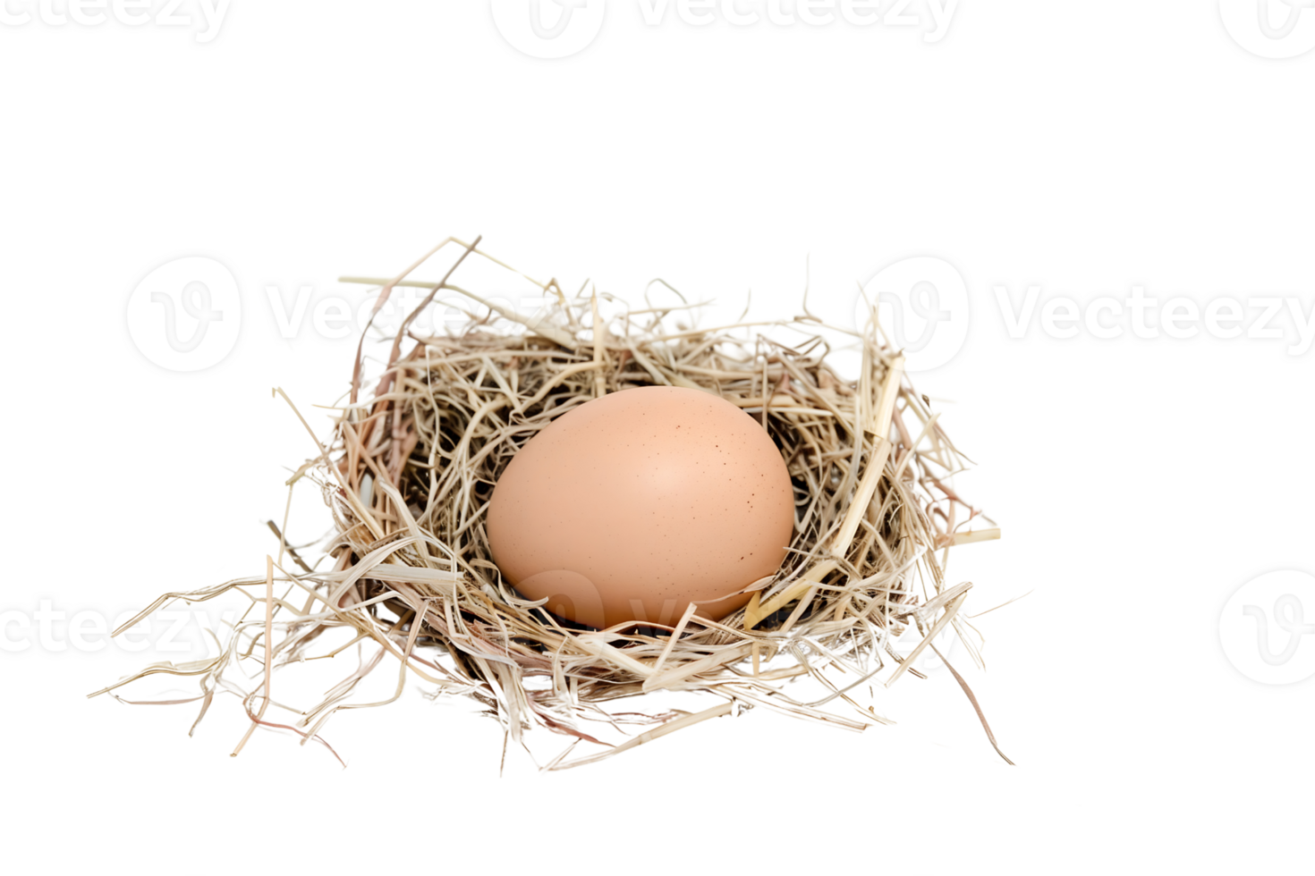 single egg nestled in a nest of straw isolated on transparent background png