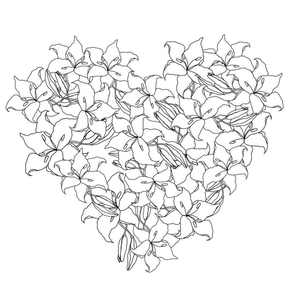 Lily line art flower wreath vector