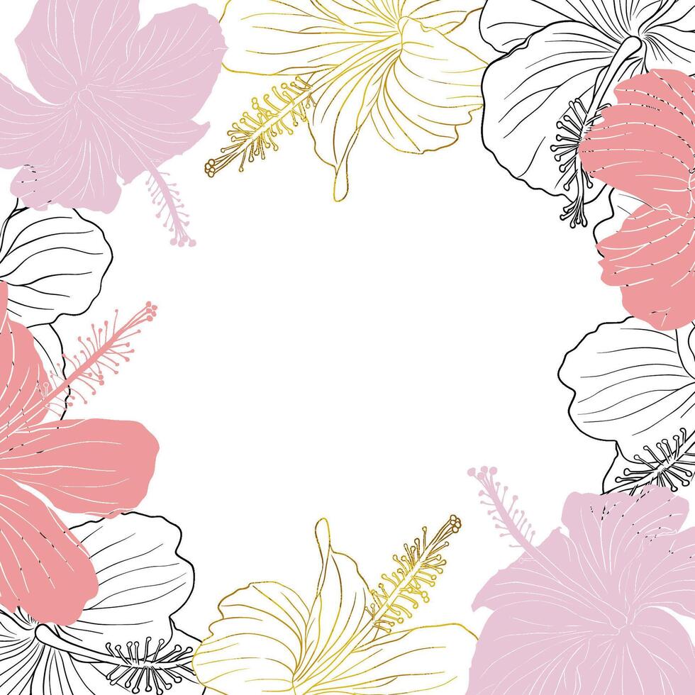 Hibiscus Floral illustration vector