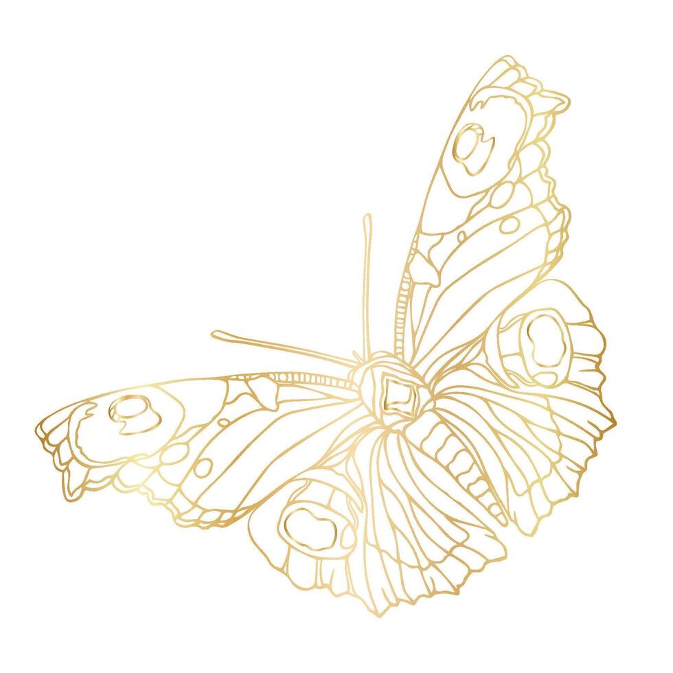 Butterfly hand drawn illustration vector