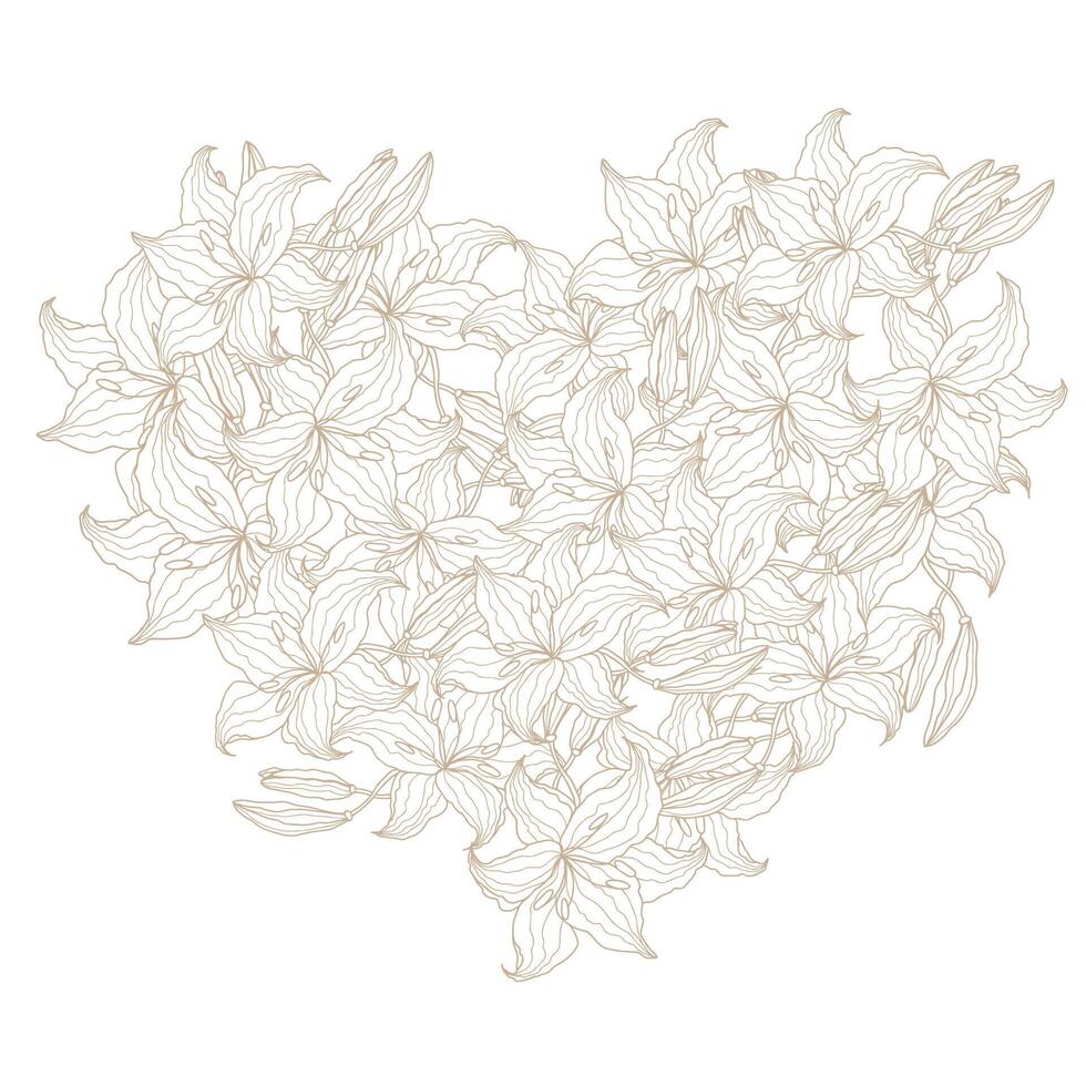 Lily line art flower vector