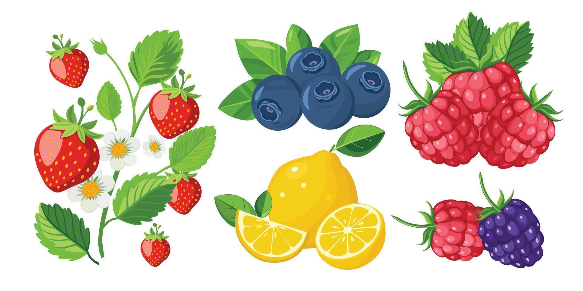 Fruits and berries set. Strawberry, raspberry, blueberry, lemon. illustration vector