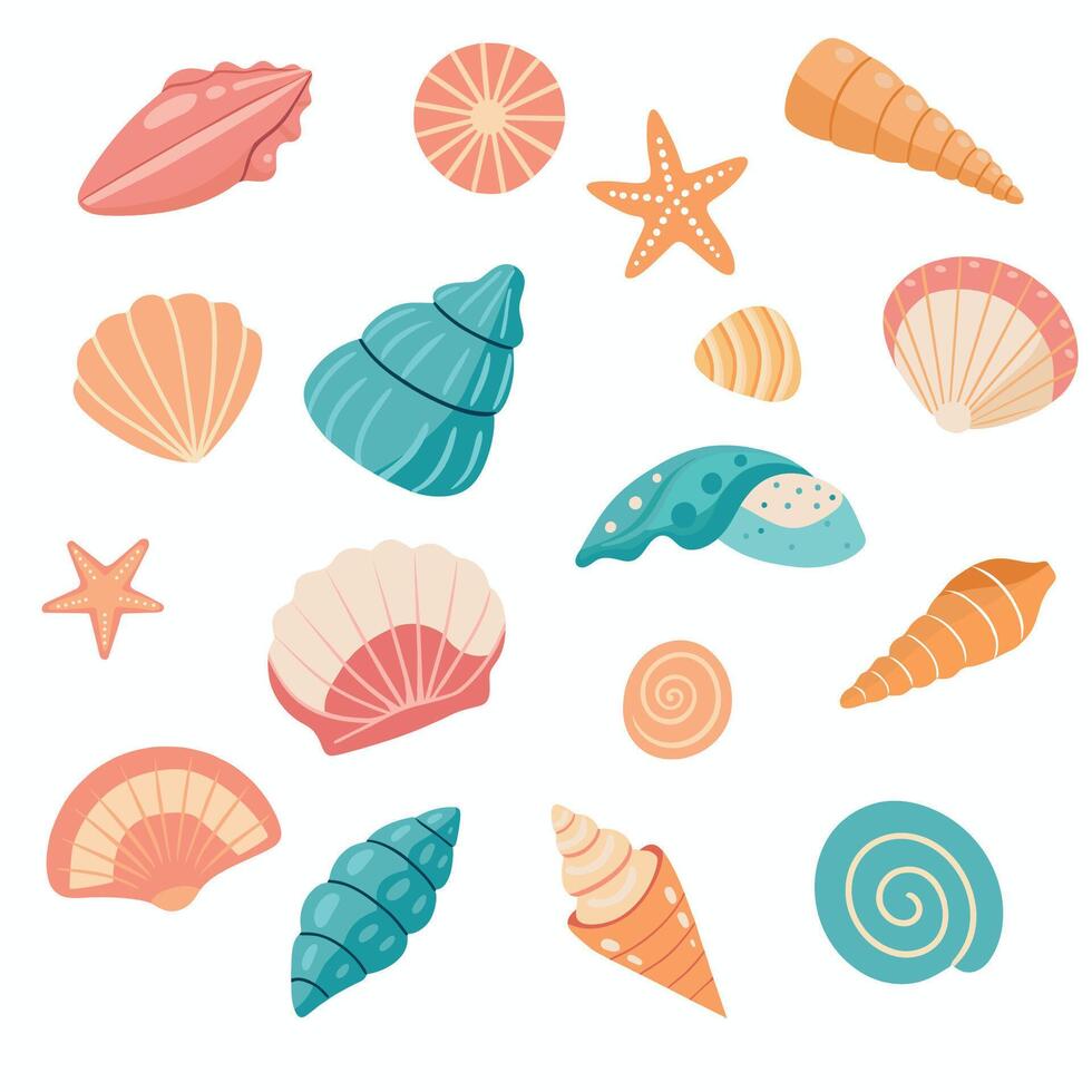 Sea shells set, mollusks, starfish. Trendy flat illustration of seashells collection isolated on white for stickers. vector
