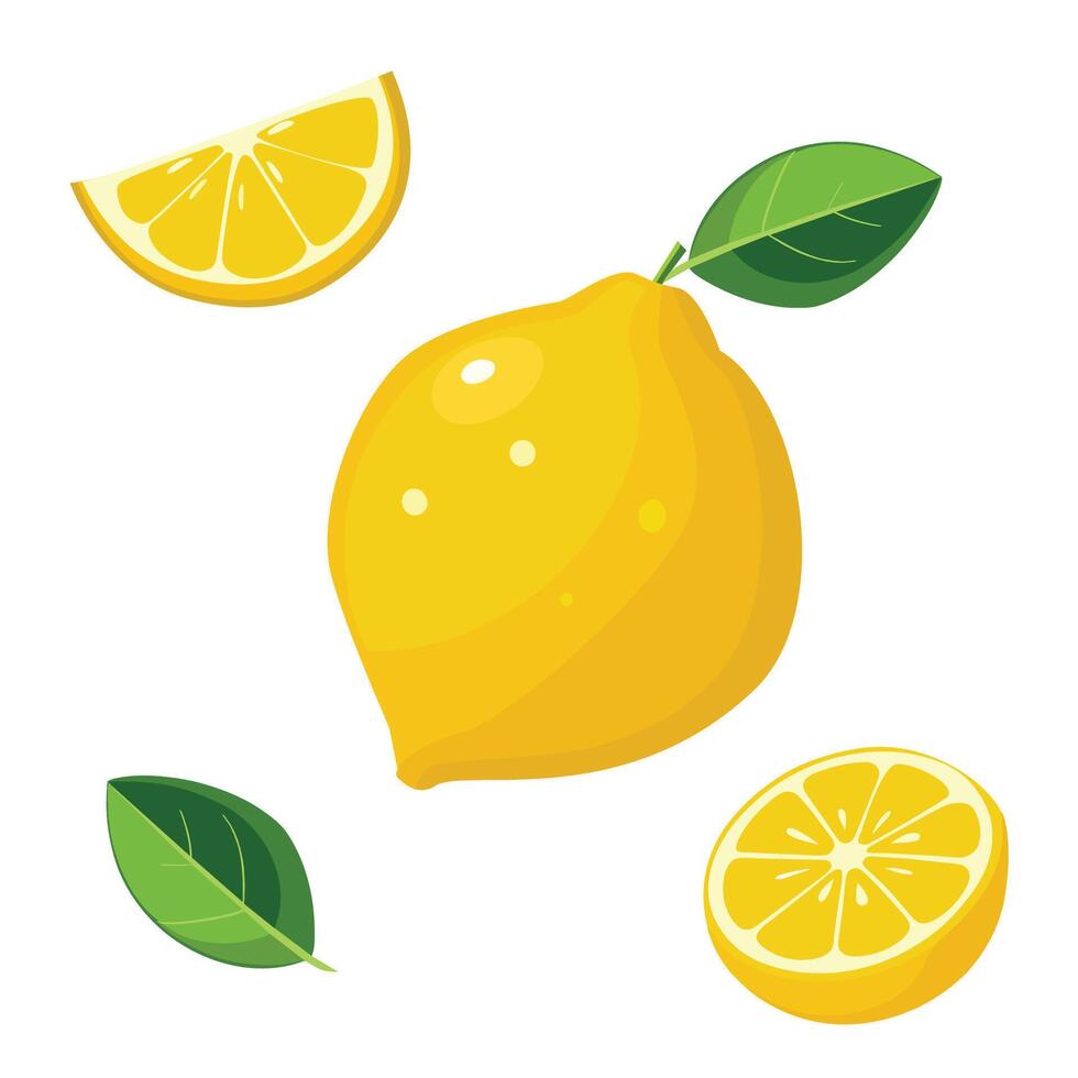 Lemon fruit isolated on white background. illustration. vector