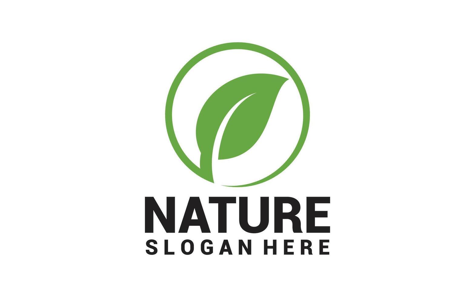 Green leaf icons Leaves of trees and plants Leaves icon Elements design for natural eco bio vegan labels illustration vector