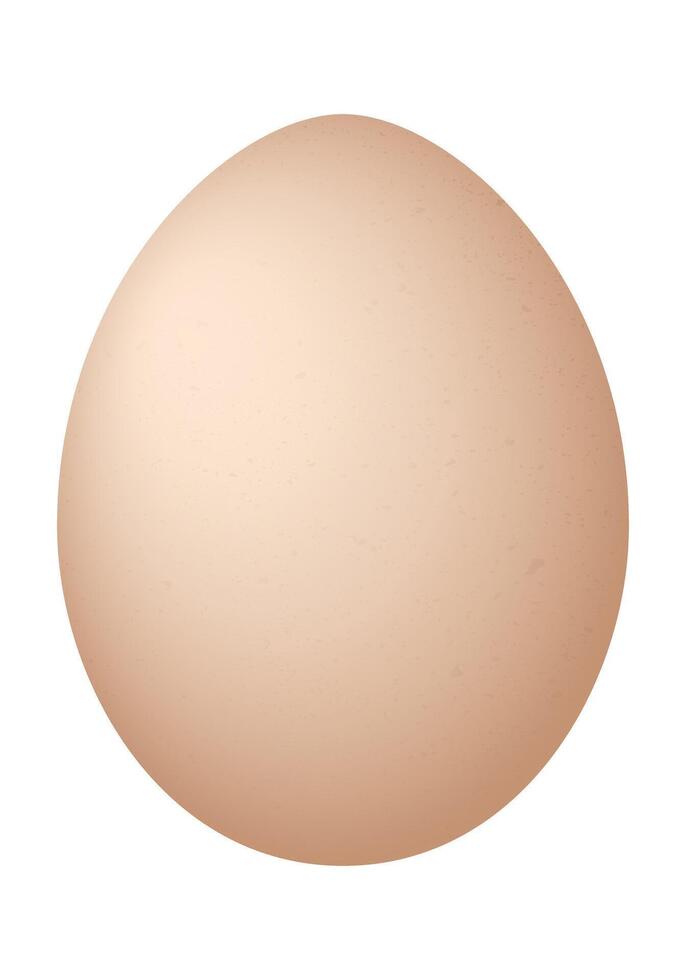 Egg - illustration isolated on white background vector