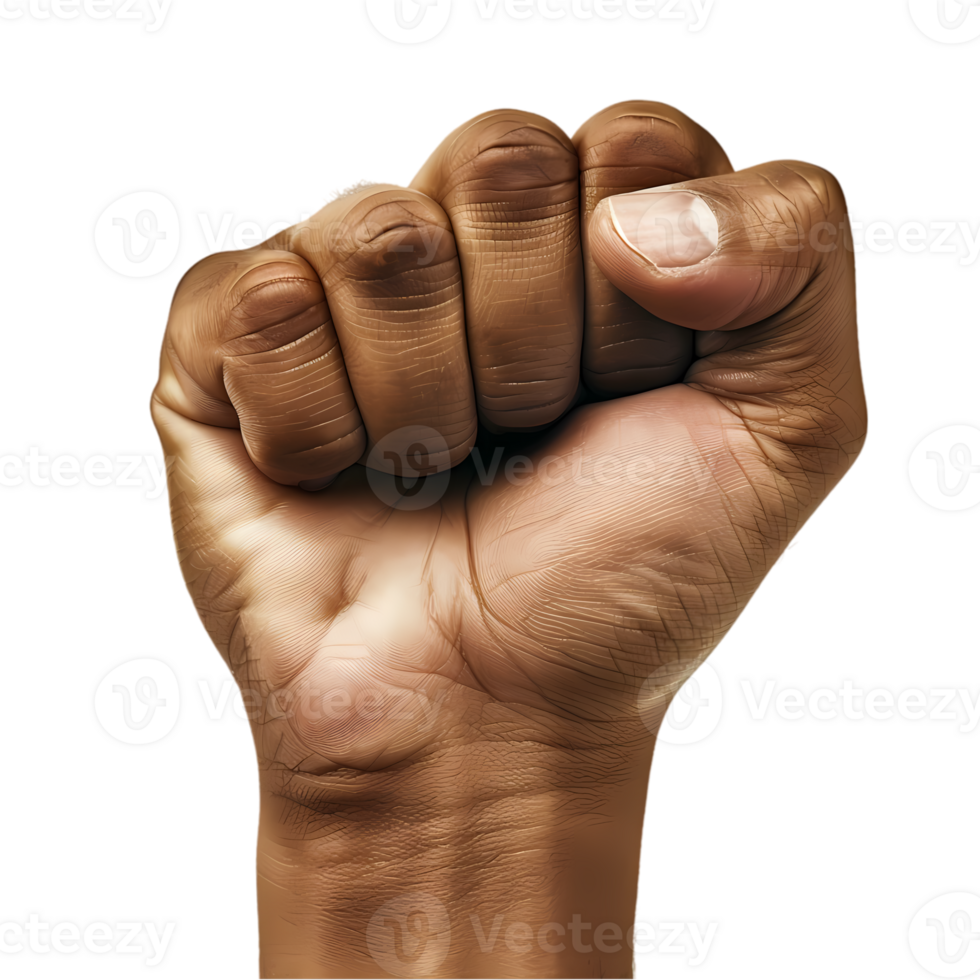 Close-up of a Raised Fist png