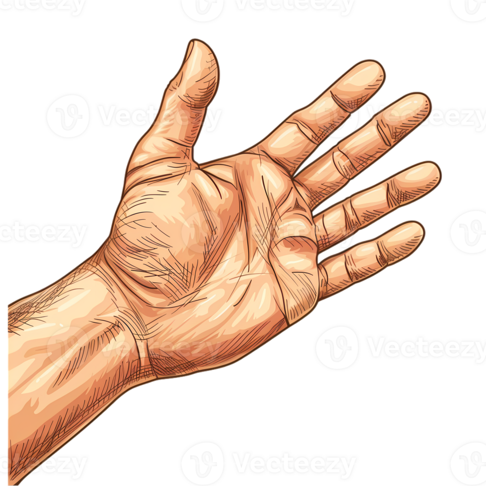 An Open Hand, Reaching Out png