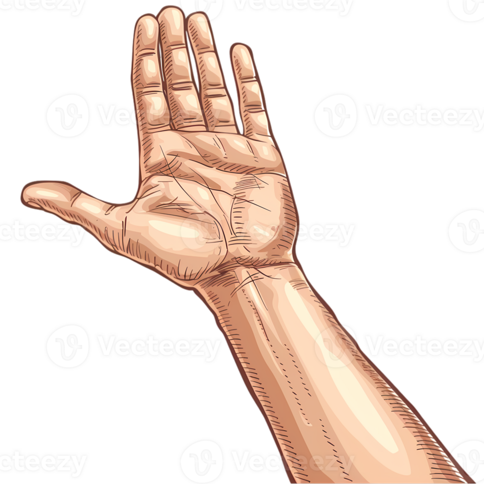 Open Hand Reaching Up png