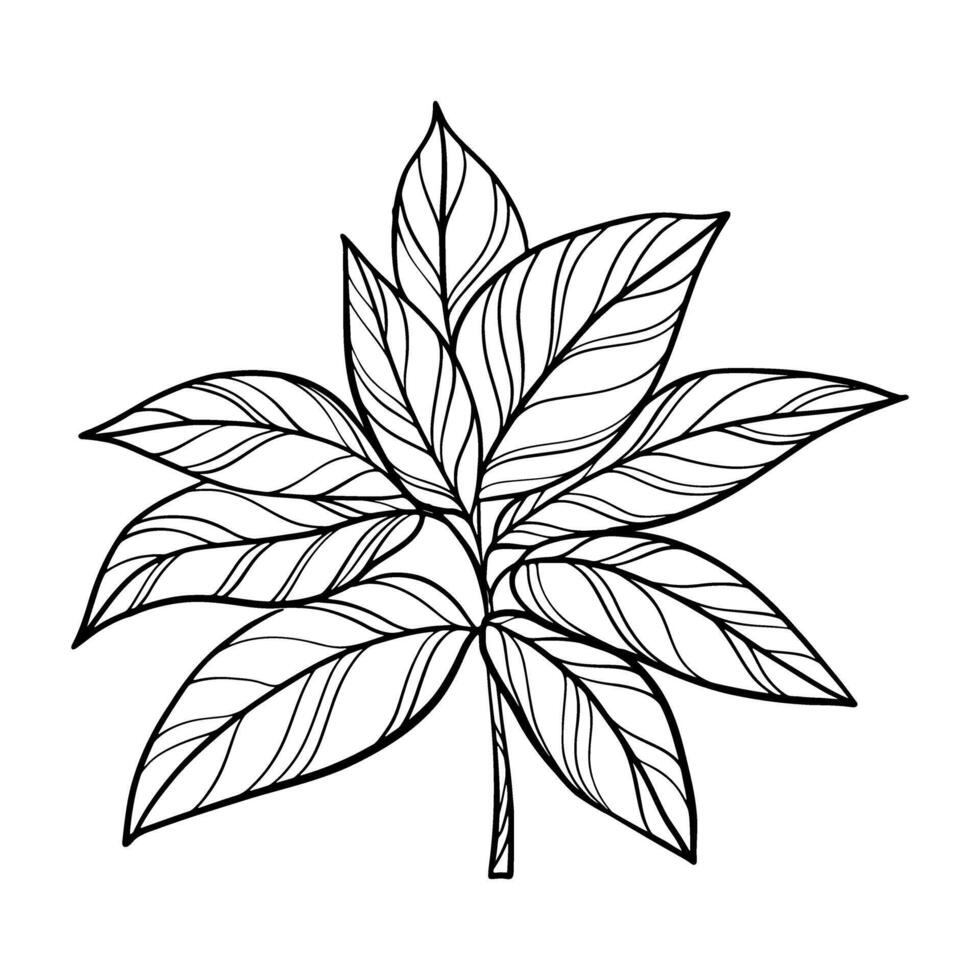 Botanical Precision Compound Leaf Line Art vector