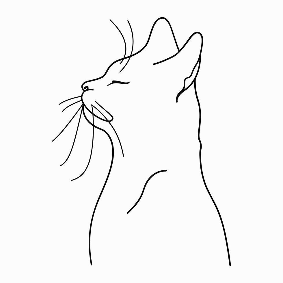 Line drawing of cat. Abstract kitten portrait isolated on white background vector