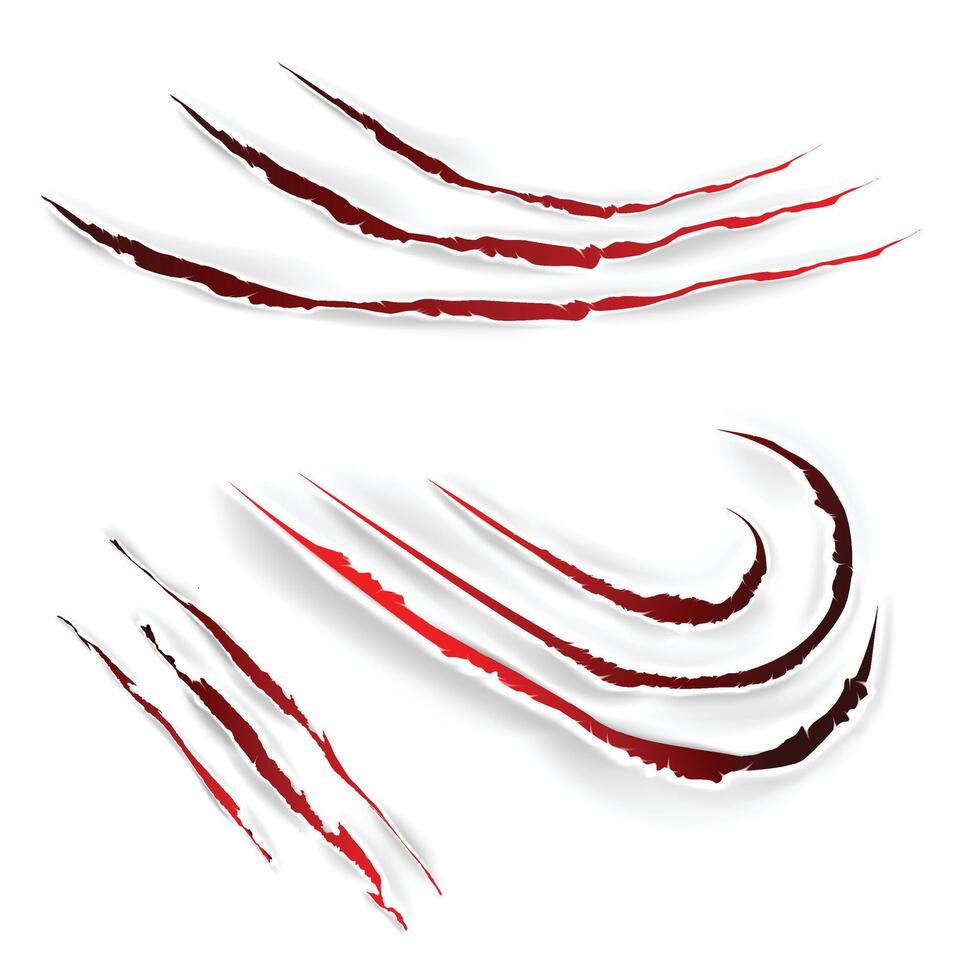 Different scratch Animals Claw with White Background vector