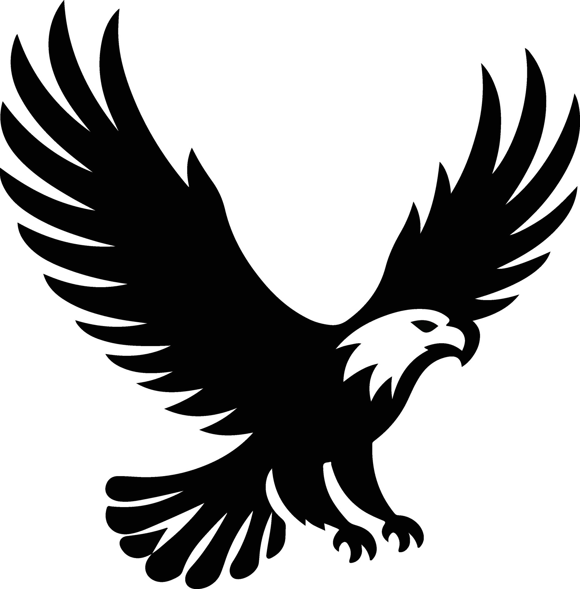 Bird black illustration 46802896 Vector Art at Vecteezy