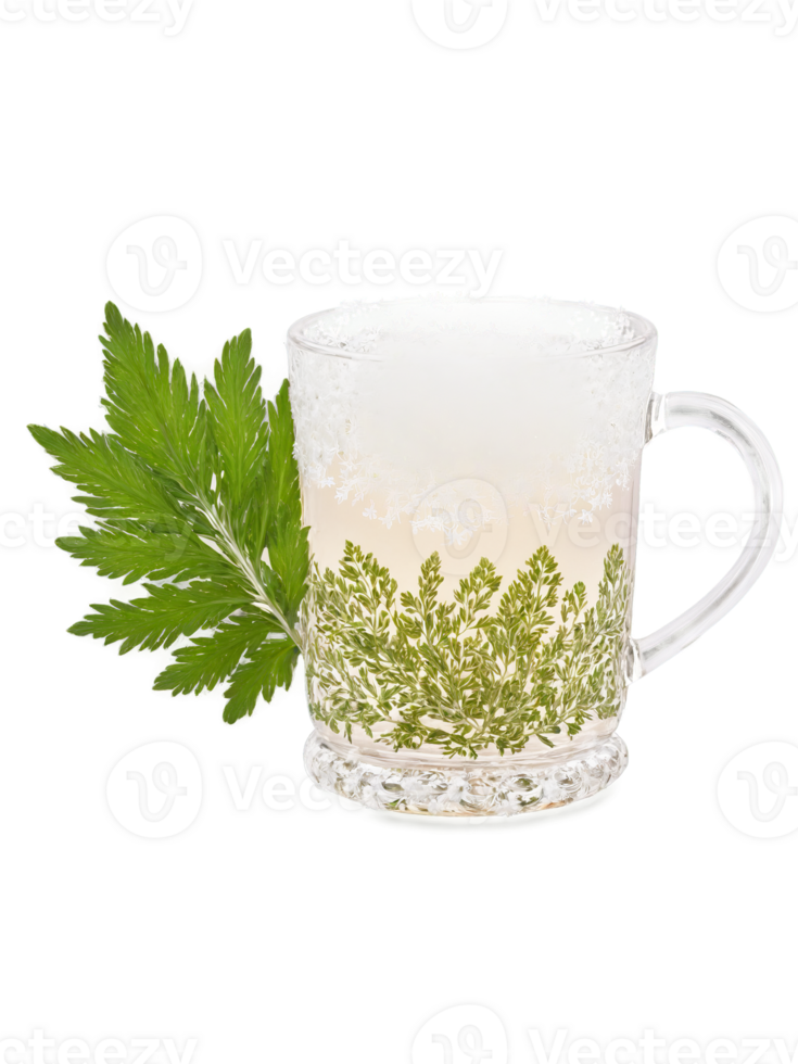 Yarrow tea glass mug feathery leaves pink and white flowers styptic and tonic png