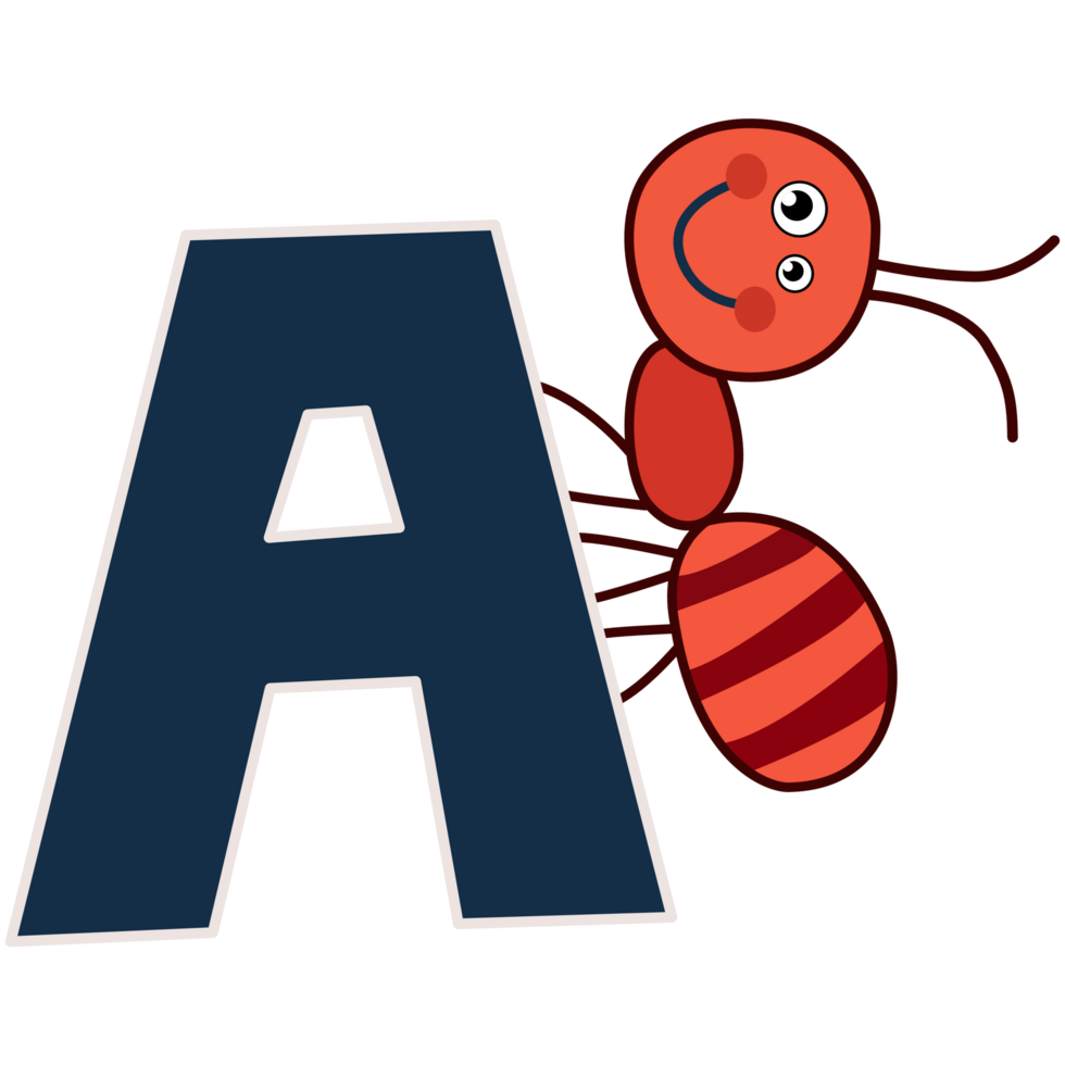 Cute children animal alphabet A letter flashcard of Fire Ant for kids learning English vocabulary. png