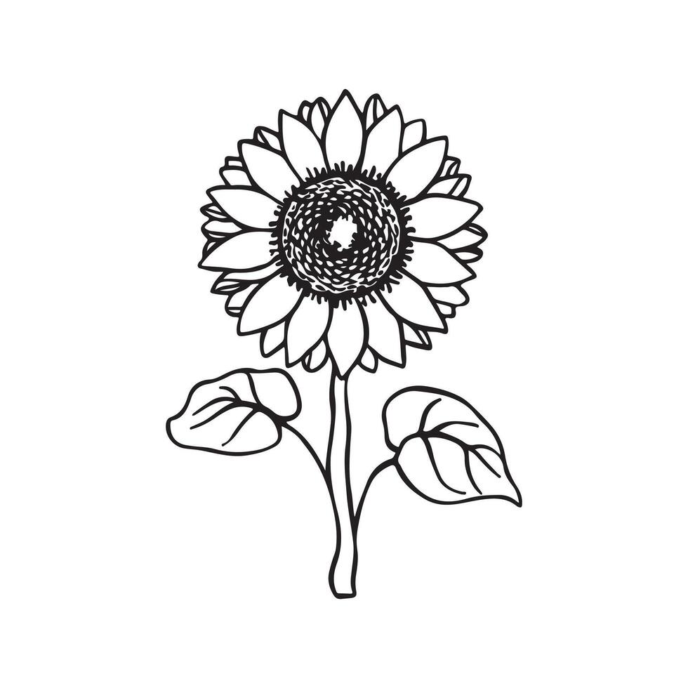 sunflower art silhouette vector