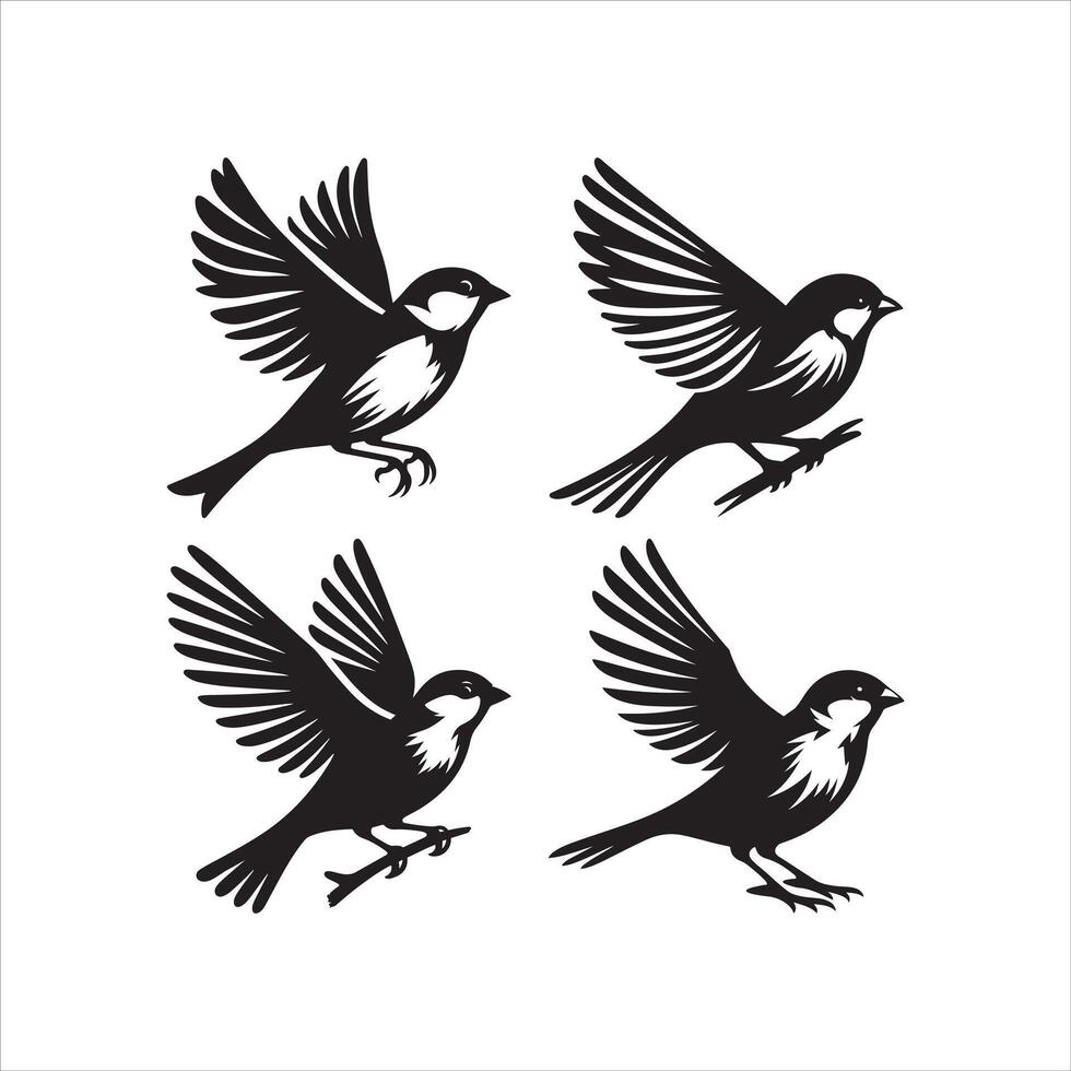 sparrow art illustration vector