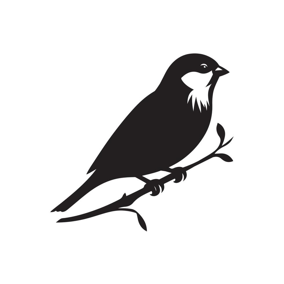 sparrow art illustration vector