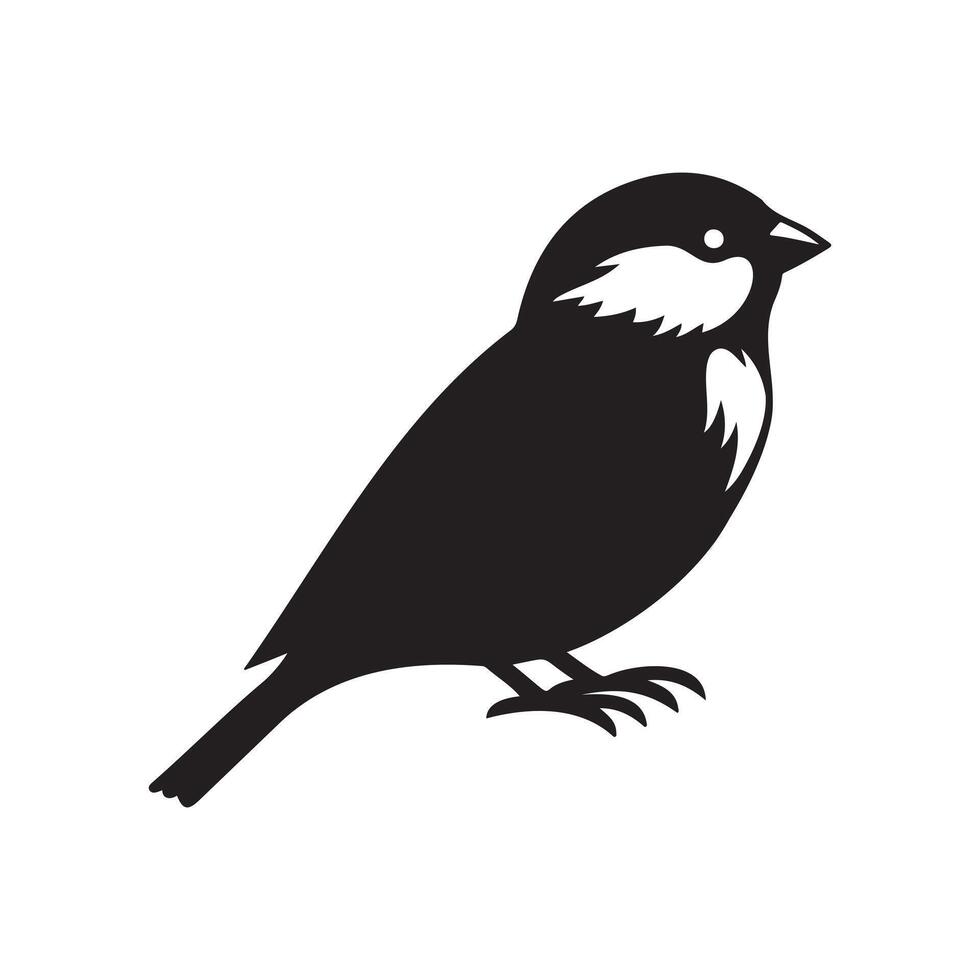 sparrow art illustration vector