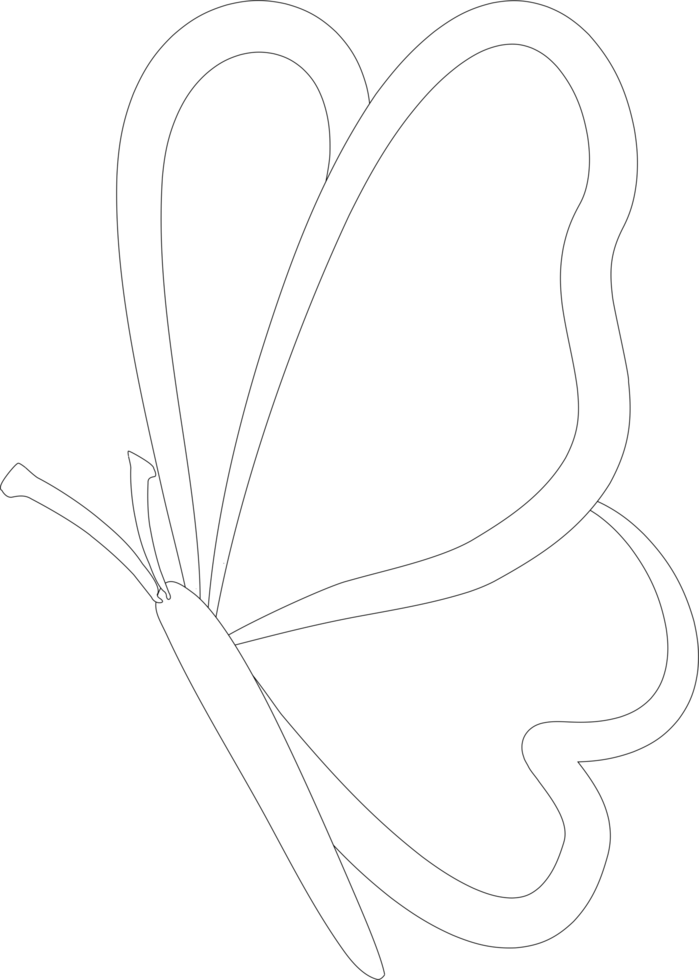 Butterfly shape outline png