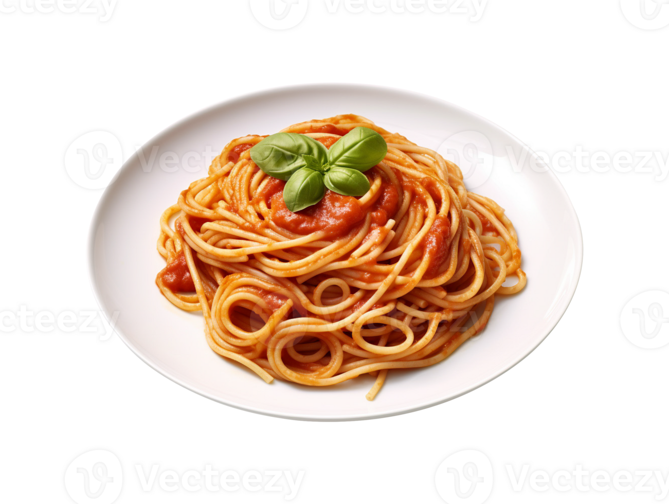 plate of spaghetti png
