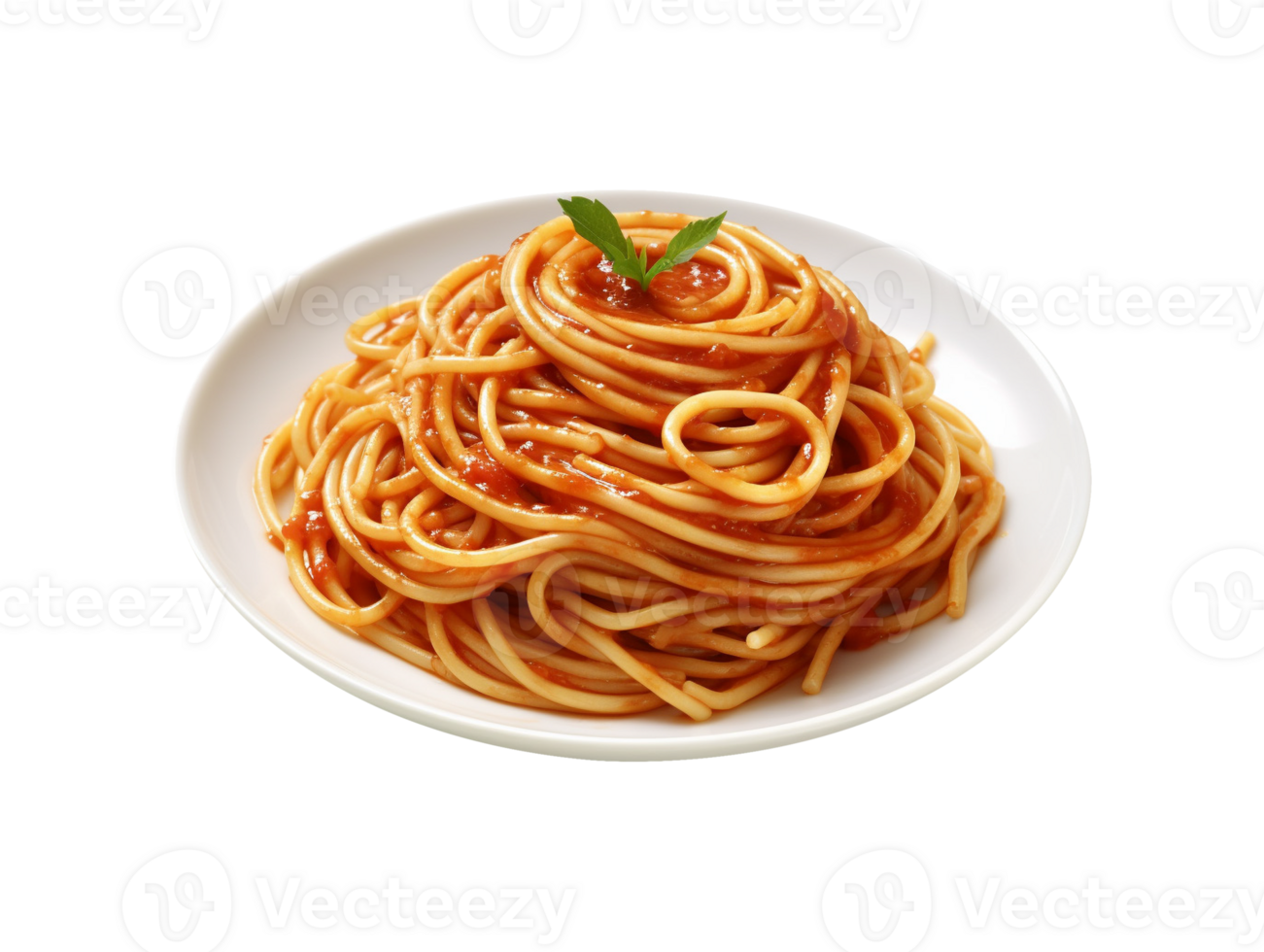 plate of spaghetti png